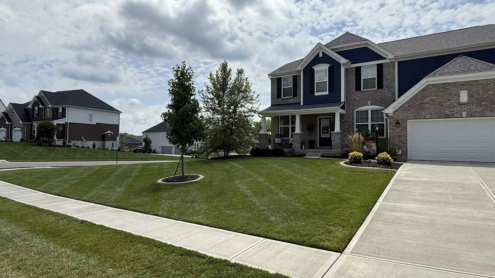 A freshly mowed front lawn in clean stripes beside a sidewalk, with a young tree in a mulch ring and a brick and navy house behind it.