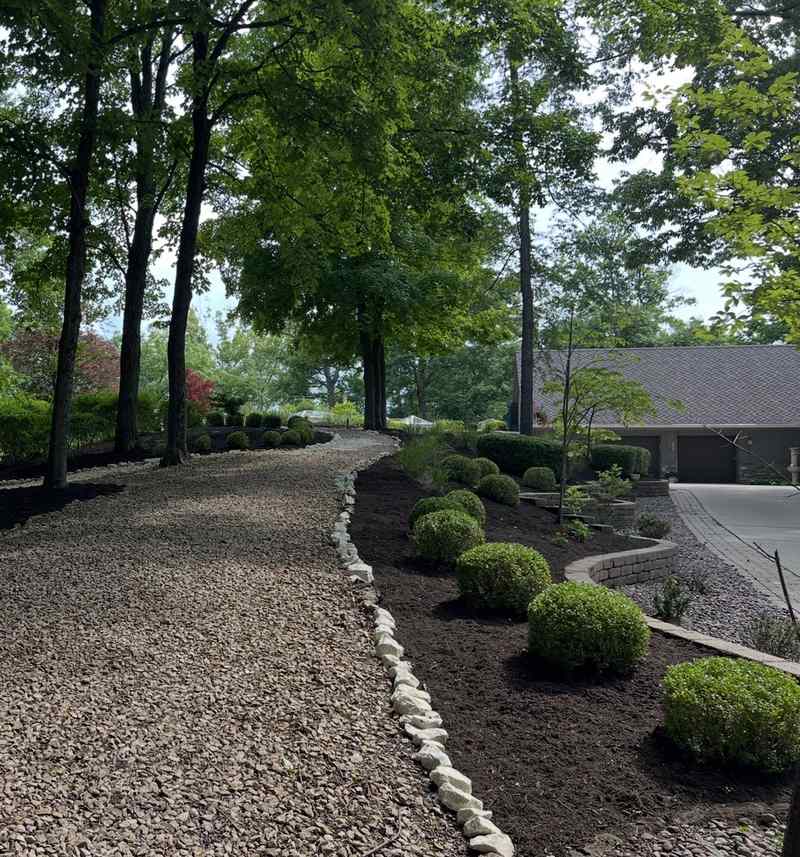 A gravel path edged with white stone, running between mulched beds with trimmed shrubs under tall trees.